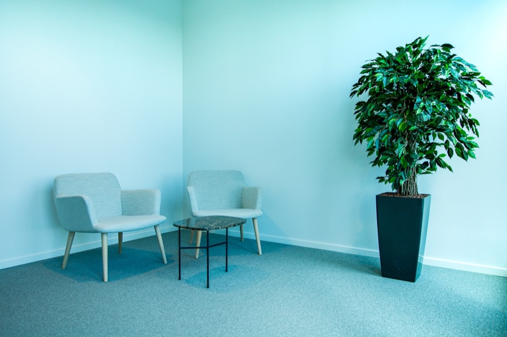 A calm, welcoming office waiting area with two chairs and a plant